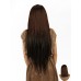 Wigs2you 接髪片 日本正品 耐熱 髪片 長 直 高溫絲 清純 溫柔 時尚接髪片 氣質OL型WS-5019-SB